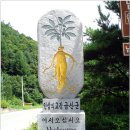 충남.금산군.남이면.성치산 산행길.. 이미지