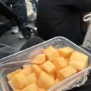 2호광장 한마음정형외과 | “상하이 4일차 여행기🎠 디즈니 오픈런·트론·불꽃놀이 완벽 코스 후기”