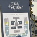 이채영의 라이브콘서트 | 프로미스나인 앙콘 리뷰, 콘서트 L 좌석 후기, 프미나 실물 후기