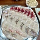 강서구 등촌역 맛집 등촌역 2분 거리 등촌종합어시장에서 즐기는 신선한 회 한 접시 내돈내산 맛집 후기