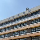 [공지] 서울 광진구 광장중학교 창체 동아리 활동...체험｜담초 청소년 정서 안정 및 몰입 교육 후기