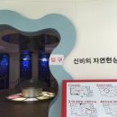 화진포생태박물관 이미지