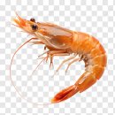 엉클짱왕해물찜 이미지