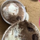 하프베이크드 이미지