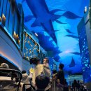 제이드어린이집 | 2026년 2월 27일 다섯번째 결기🥰(feat.인스파이어)