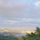 비로소 가을 이미지