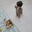 특수교육지원센터 1층 | 가정보육 엄마가 알게 된 육아종합지원센터 이용 후기 (장난감 대여, 시간제 보육)