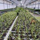 난전농장 이미지