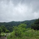 가평비타민 | 양지마을펜션 경기 가평 펜션 내돈내산 백둔 계곡