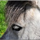 평화축산 이미지