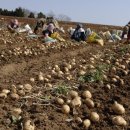 해남군-07 이미지