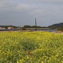 제주OK충전소 이미지