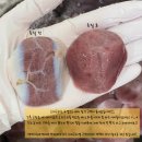 댕댕이수라상 이미지