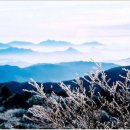 금수강산 이미지