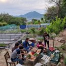 진산농장3 이미지