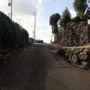 신효동-6 이미지