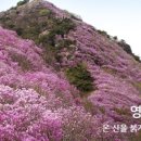 여수의밤낭만바다