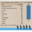 케이홀딩스 이미지