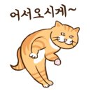 보광탕 네이버블로그