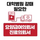 용양골 | 상급종합병원(대학병원)갈 때 준비사항 - 요양급여의뢰서 또는 진료의뢰서 발급받기