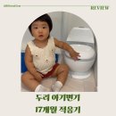 두리 | 아기변기 언제부터? 17개월 두리 아기변기 후기