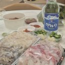 풀블룸 | [아기랑 경주 풀빌라 추천] 경주 풀블룸키즈풀빌라 후기 | 2가족 경주풀빌라