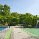 매송체육공원 농구장 이미지