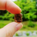 바른멍쿡 이미지