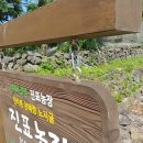 진표농장 네이버블로그