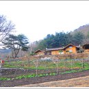 여주-0411 네이버블로그