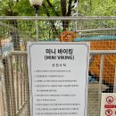 봉봉 게임랜드 | 대구 놀거리 정보 아이랑 아르떼 수성랜드 다녀온 후기