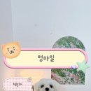 멍마일
