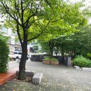 개나리공원 이미지