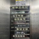 유하일식 이미지