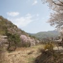 산안2리마을 이미지