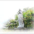 공세리마을 이미지