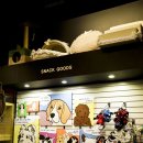 젠(Gen)동물병원 이미지