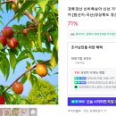 농브라더스