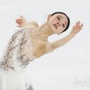 김채연 카카오 검색결과