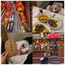 오복당 | 안산맛집 고잔동 중식당 맛집 오복당 애견동반 식당후기