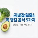 지방간의 진단과 관리 | 지방간에 좋은 음식과 실제 식단 후기 "침묵의 장기" 간 건강을 위해?