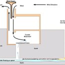 Traditional 이미지