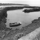 삼달2리 이미지