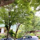 산수가든 위 이미지