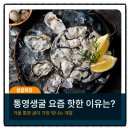 통영생굴 겨울철 가장 빛나는 계절인 이유는