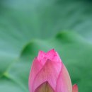 (주)픽셀즈 이미지