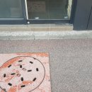 준스헤어 이미지