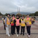 《2025충청남도 희망나눔 걷기대회》 이미지