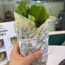 참빛유치원 | 진주 상대동 스마트팜 이색체험카페 살라트앤올되다