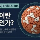 [바이러스 #04] 면역의 의미 - 우리는 왜 면역을 미생물과의 전쟁이라 생각하게 되었나? 이미지